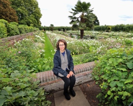 Rosemary at Diana's Garden